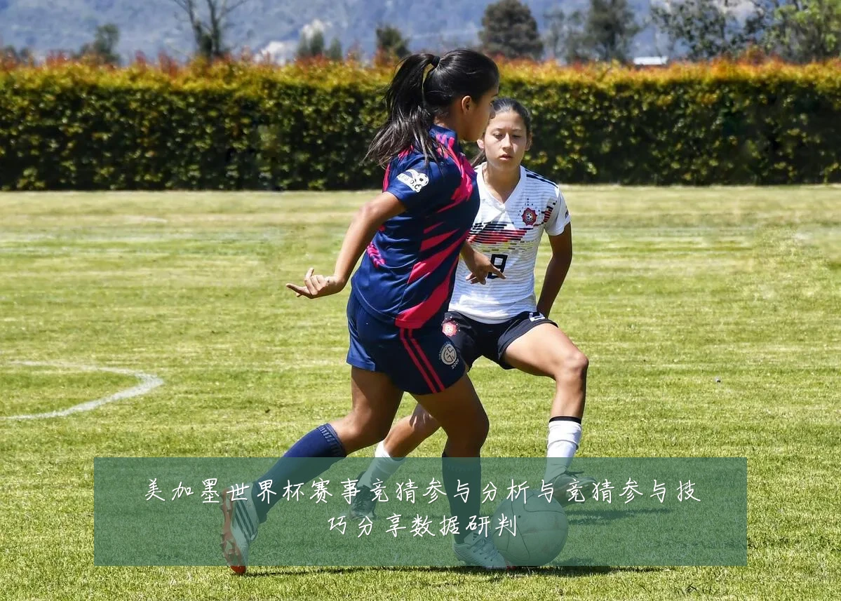 美加墨世界杯赛事竞猜参与分析与竞猜参与技巧分享数据研判